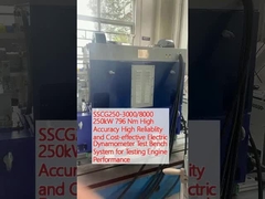 SSCG250-3000/8000 250kW 796 Nm উচ্চ নির্ভুলতা উচ্চ নির্ভরযোগ্যতা এবং খরচ কার্যকর বৈদ্যুতিক ডি